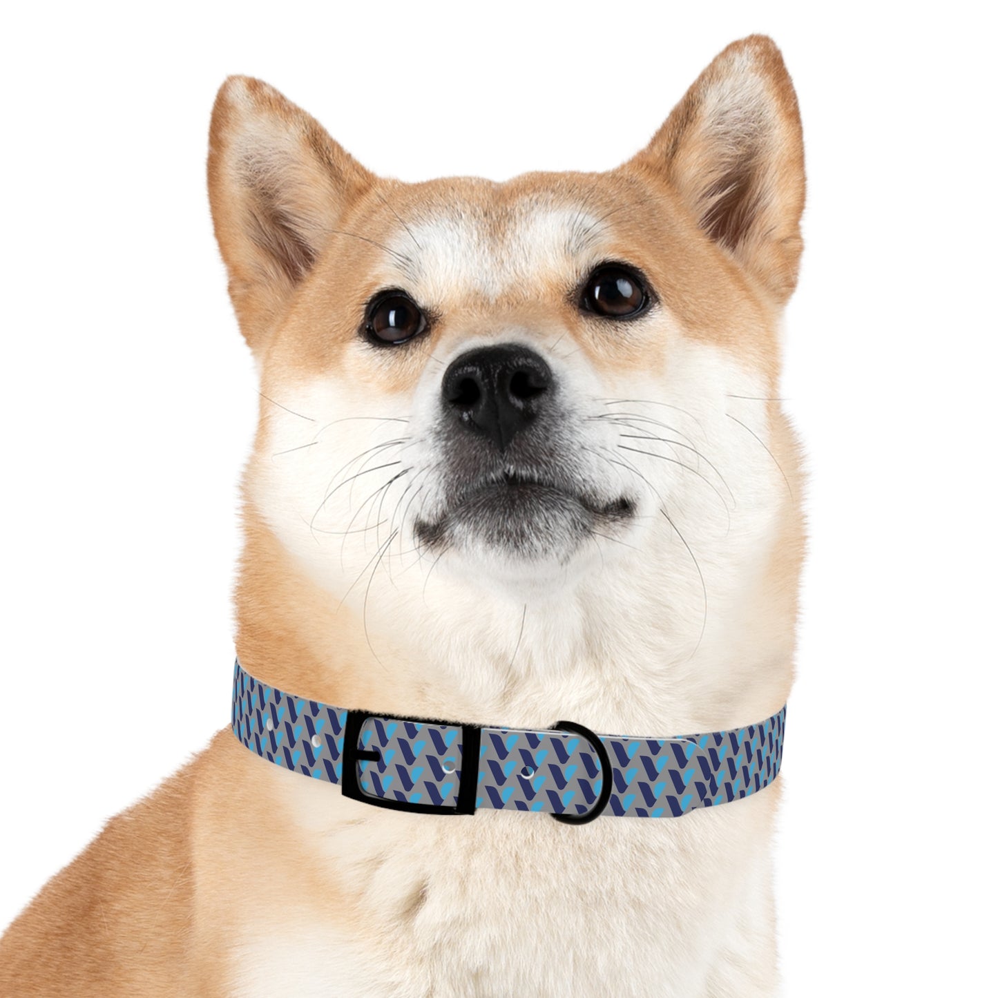 Vitamin Shoppe Branded Blue Geo Dog Collar