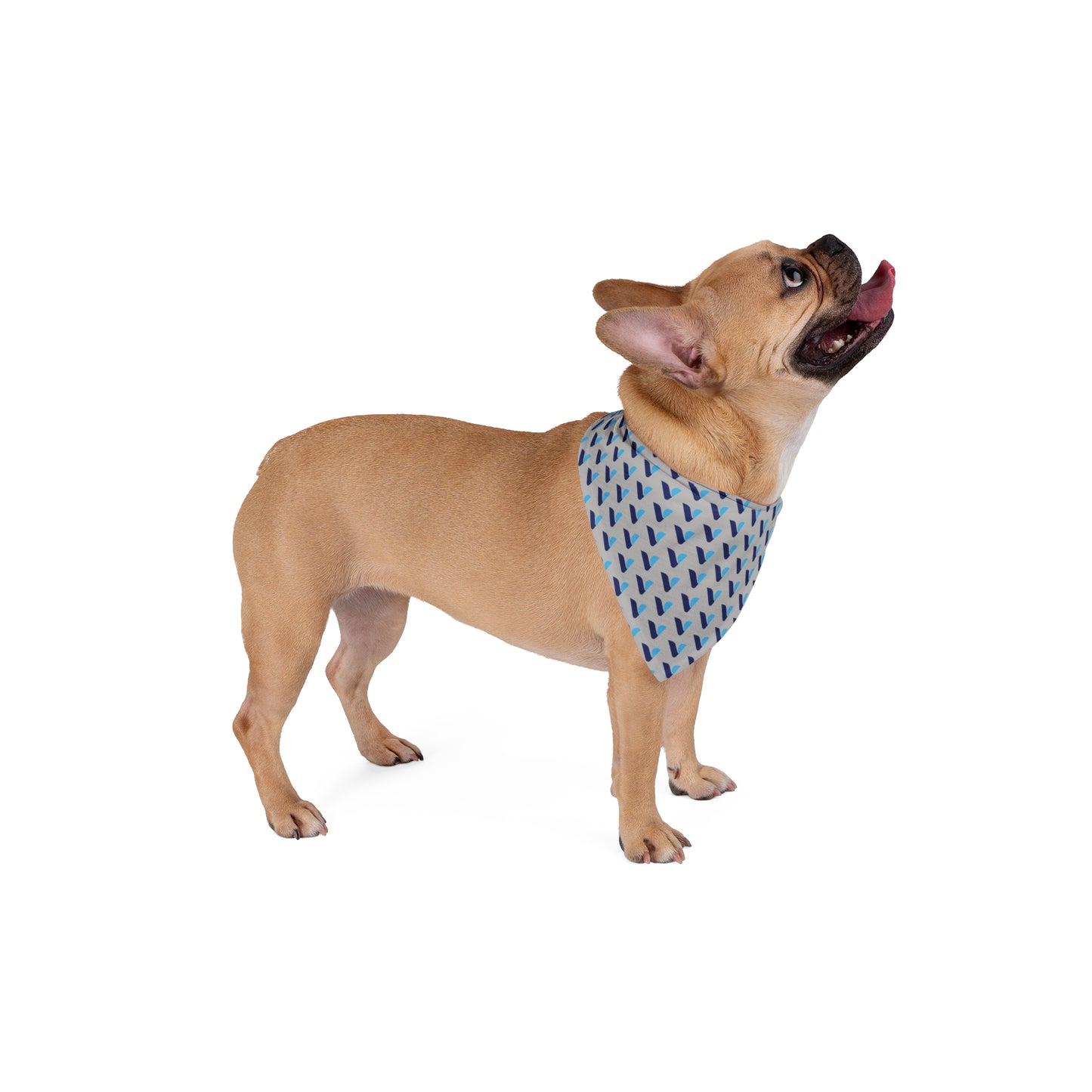Blue Check V Pattern Pet Bandana — Modern Geometric Dog & Cat Accessory