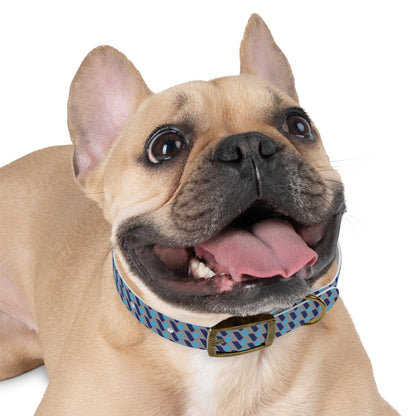 Vitamin Shoppe Branded Blue Geo Dog Collar
